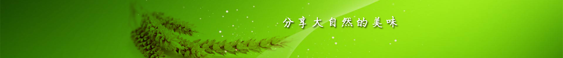 焦作市金海食品有限公司_金海面業_趙氏金海 焦作市金海食品有限公司_金海面業_趙氏金海